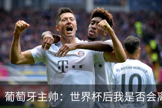 葡萄牙主帅：世界杯后我是否会离任？现在重要的是专注于世界杯